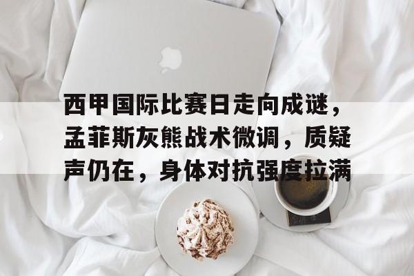 爱游戏-关于西甲国际比赛日走向成谜，孟菲斯灰熊战术微调，质疑声仍在，身体对抗强度拉满的信息